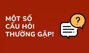 Các câu hỏi thường gặp